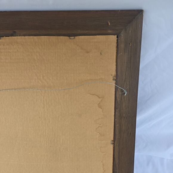 Vintage Frame Mirror Mappe Monde Du Globe World Map by Jan Barend Elwe 23 x 28 - Picture 15 of 16